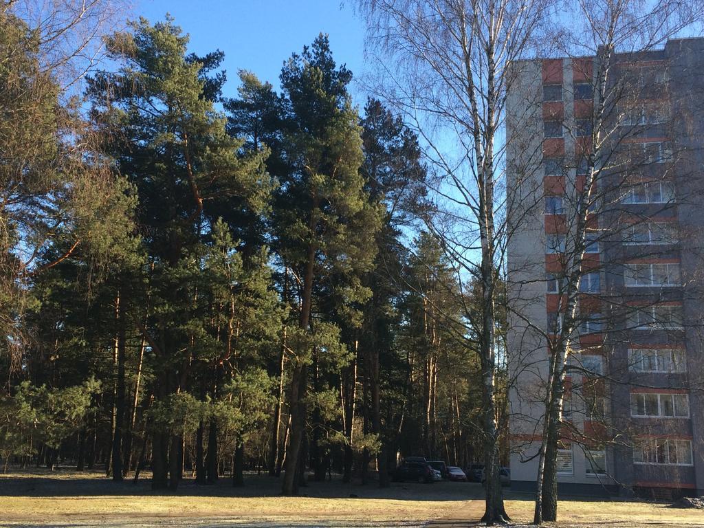 Apartmán Angel Druskininkai Exteriér fotografie